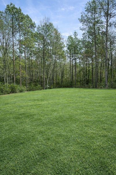 Natural landscape and outdoor views near  in Huntsville (Image 47).
