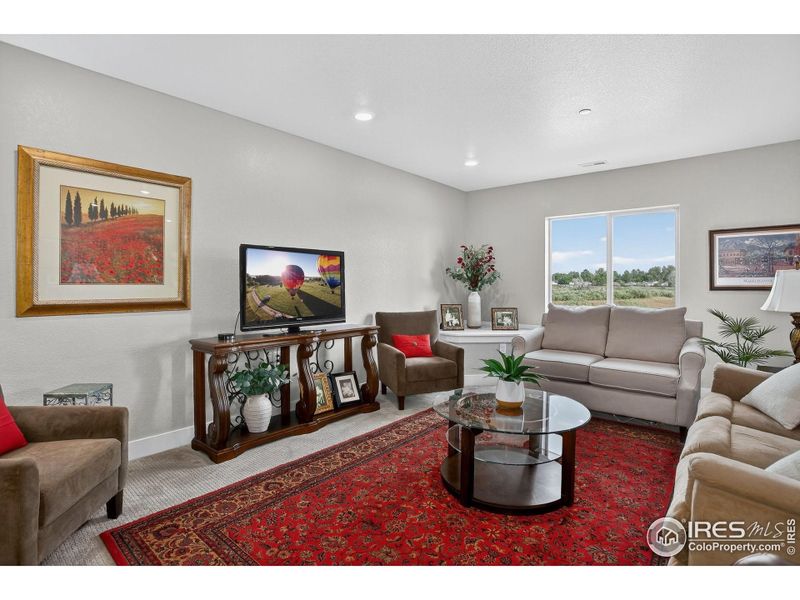 Family Room in Basement