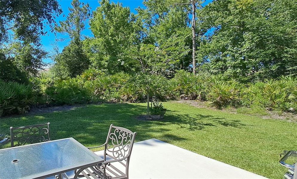 Natural landscape and outdoor views near in Palm Coast (Image 35). Natural landscape and outdoor views near in Palm Coast (Image 35).