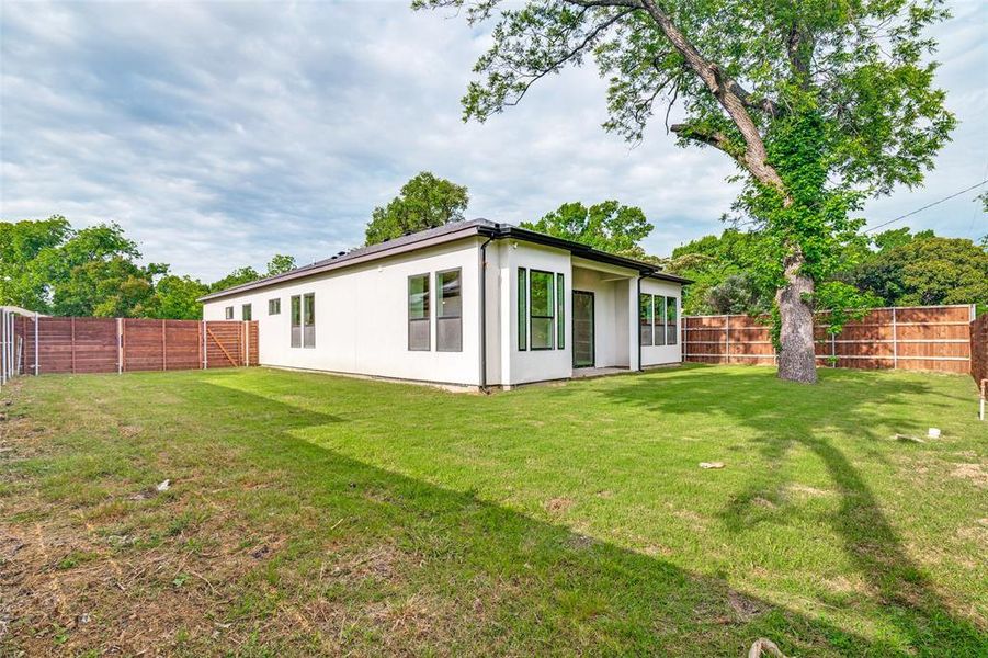 Expansive backyard featuring a new perimeter privacy fence, a mature shade tree, and a modern white exterior with black-framed windows