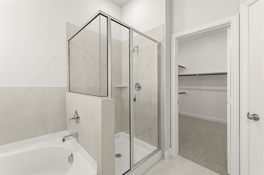 23. 103 Whistling Duck - Bath (4)