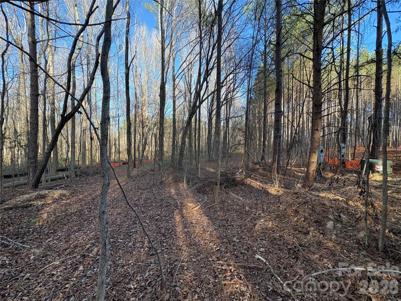 Natural landscape and outdoor views near  in York (Image 5).
