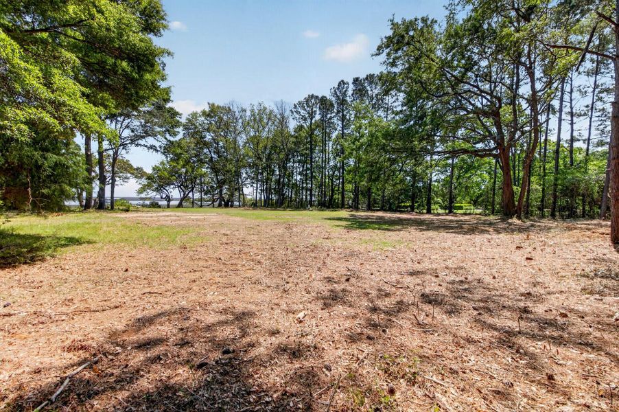 Natural landscape and outdoor views near in Awendaw (Image 15). Natural landscape and outdoor views near in Awendaw (Image 15).