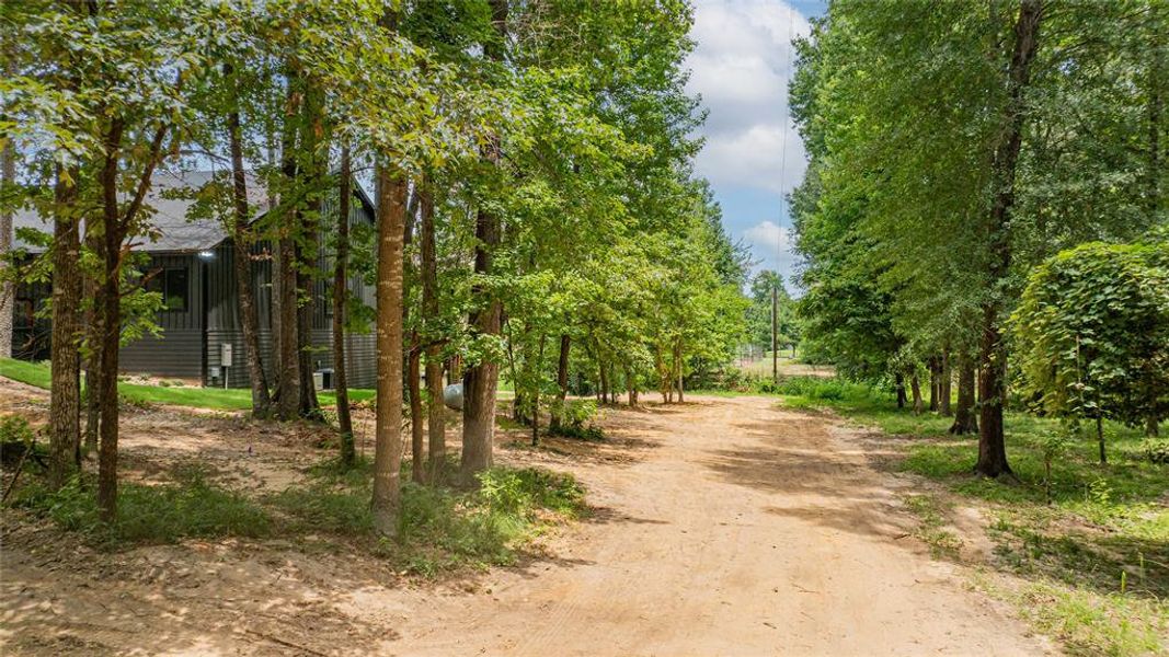 Wooded property with a gravel drive and a contemporary dark-sided residence