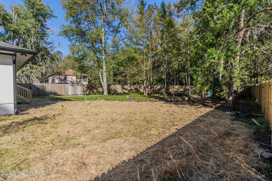 Natural landscape and outdoor views near  in Jacksonville (Image 32).