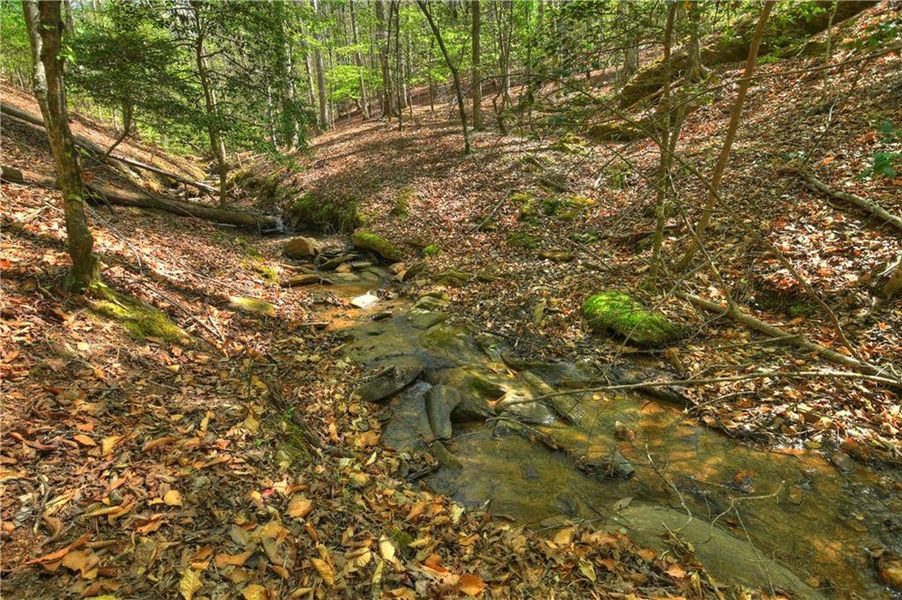 Natural landscape and outdoor views near  in Ellijay (Image 51).