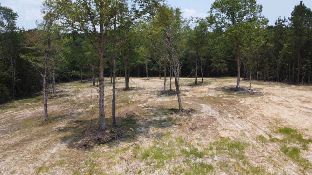 Natural landscape and outdoor views near in Huger (Image 17). Natural landscape and outdoor views near in Huger (Image 17).