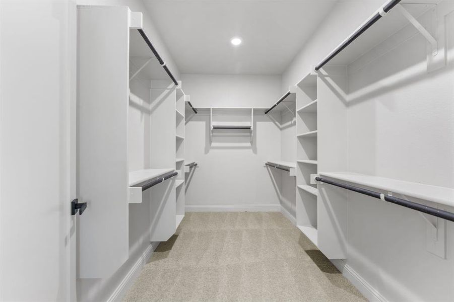 Spacious closet featuring light carpet