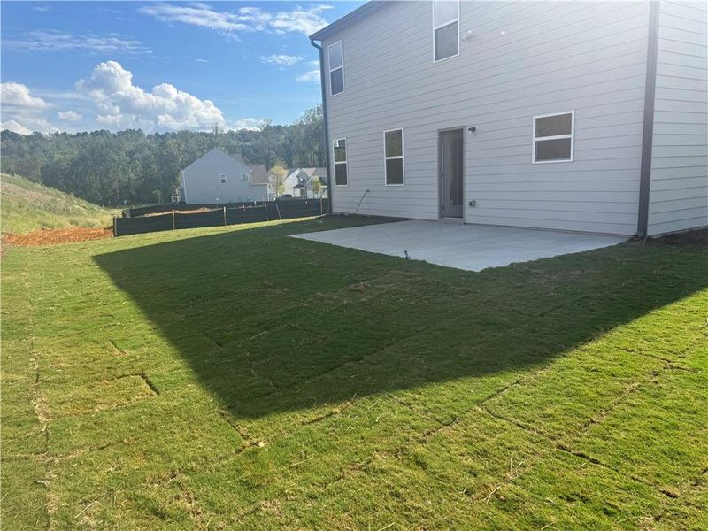 Exterior details and patio area of a home in The Reserve at Willow Oaks, Canton (Image 3).