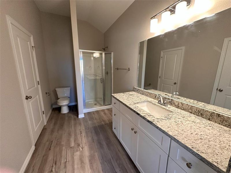 Bathroom with toilet, walk in shower, hardwood / wood-style floors, vanity, and lofted ceiling