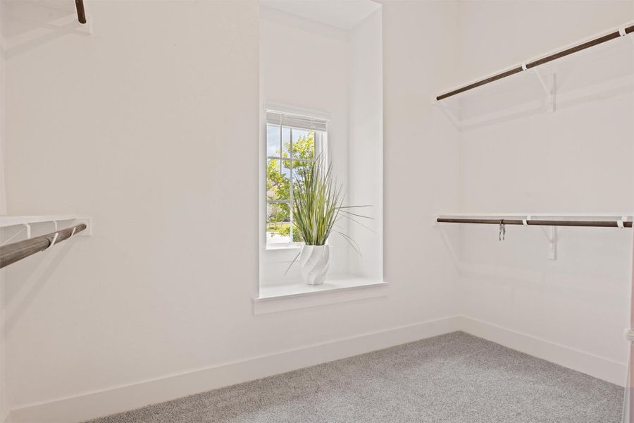 His-and-hers Walk in closet featuring carpet His-and-hers Walk in closet featuring carpet