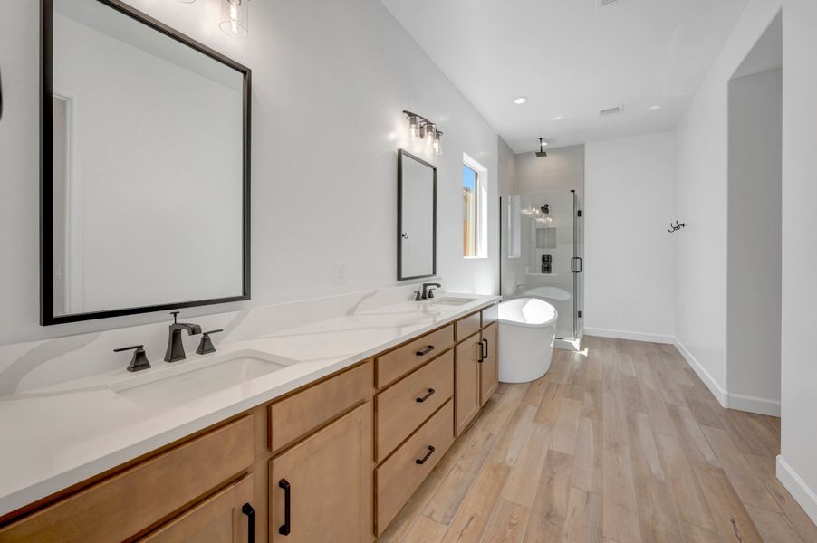 Owner's Bath