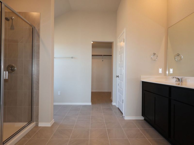 Owner's Bathroom