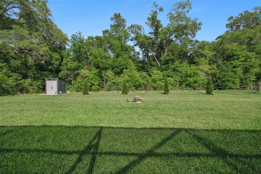 Natural landscape and outdoor views near  in Mount Dora (Image 64).