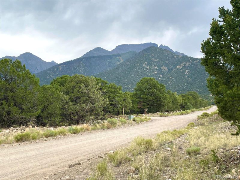 View from driveway looking north east