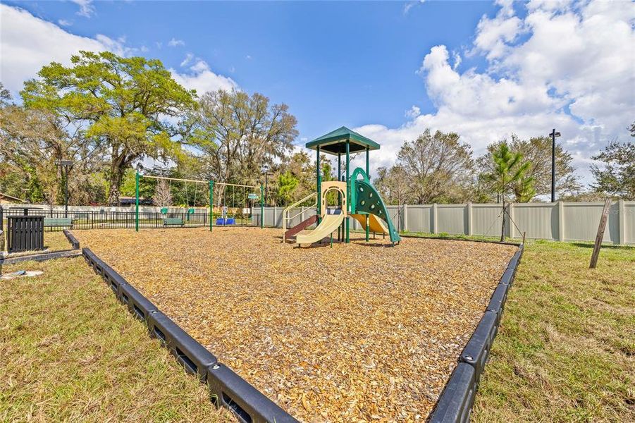 Community amenities in Vivir, Valrico (Image 19).