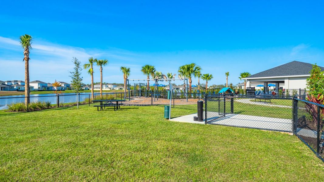 Community amenities in Indigo Creek, Apollo Beach (Image 24).