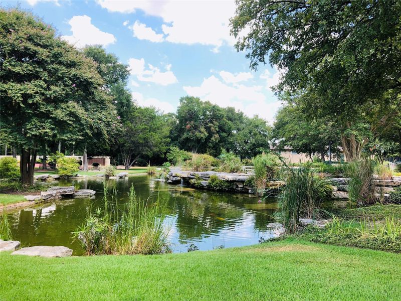 A tranquil pond with natural rock features and lush green landscaping creates a serene outdoor retreat. A tranquil pond with natural rock features and lush green landscaping creates a serene outdoor retreat.
