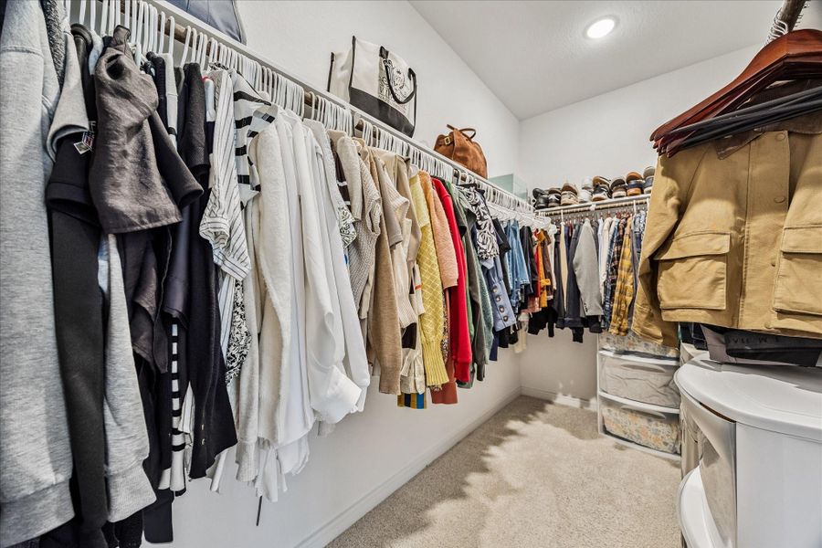 Generously sized walk-in closet with extensive hanging space and room for seasonal storage, organization systems, or additional built-ins.