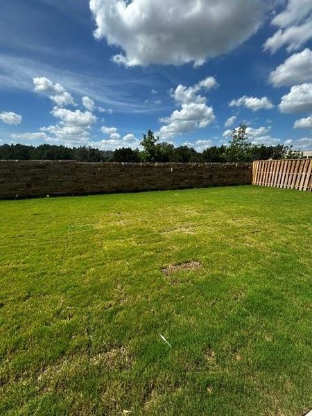 Private Backyard of Home