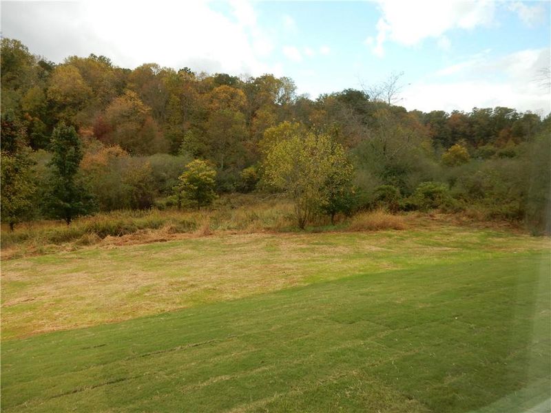 Natural landscape and outdoor views near  in Demorest (Image 33).