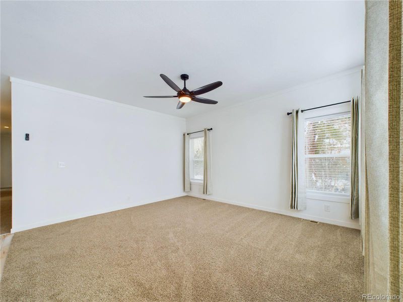 Carpeted living room featuring ceiling fan and drapes and blinds