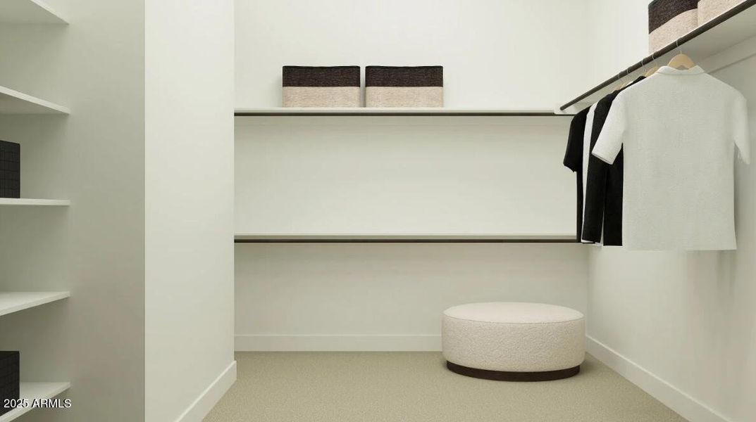 Owners Walk in Closet Owners Walk in Closet