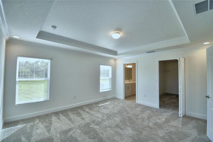 TRAY CEILING IN PRIMARY