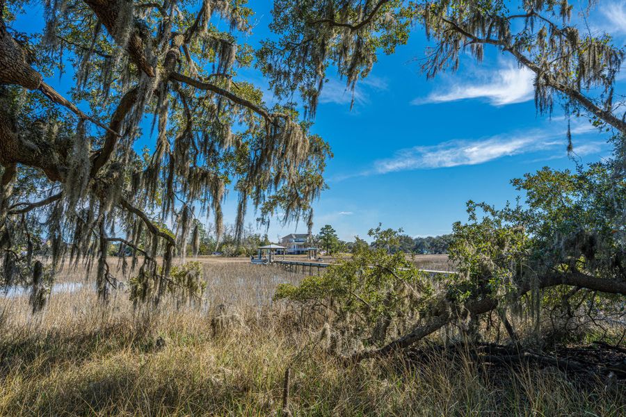 Natural landscape and outdoor views near in Johns Island (Image 74). Natural landscape and outdoor views near in Johns Island (Image 74).