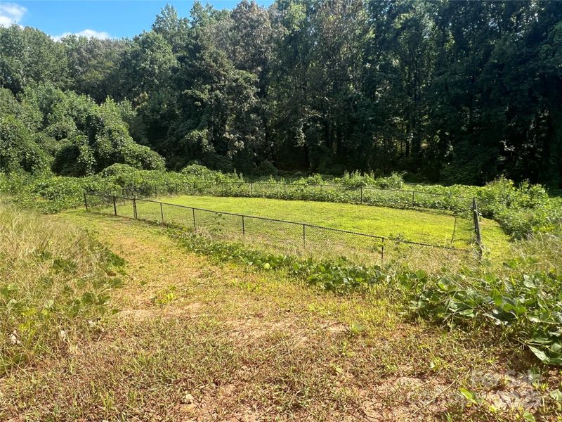 Dog Play Area Dog Play Area