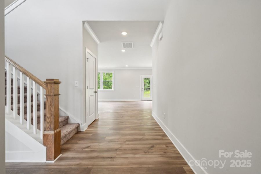 Representative picture