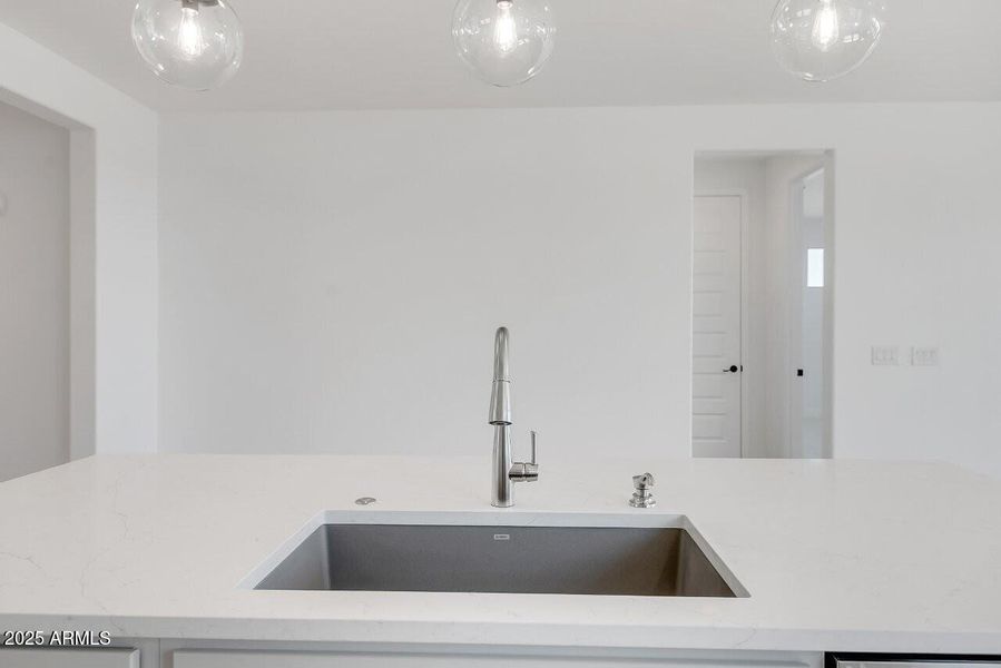 Mesquite Lot 168 (23)