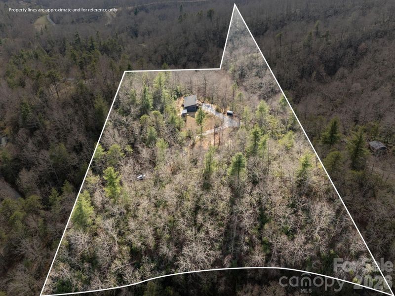 Natural landscape and outdoor views near  in Black Mountain (Image 37).