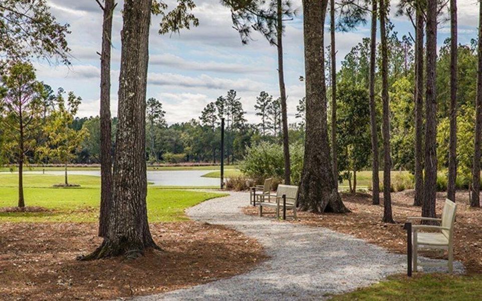Natural landscape and outdoor views near Heron's Walk at Summers Corner in Summerville (Image 34).