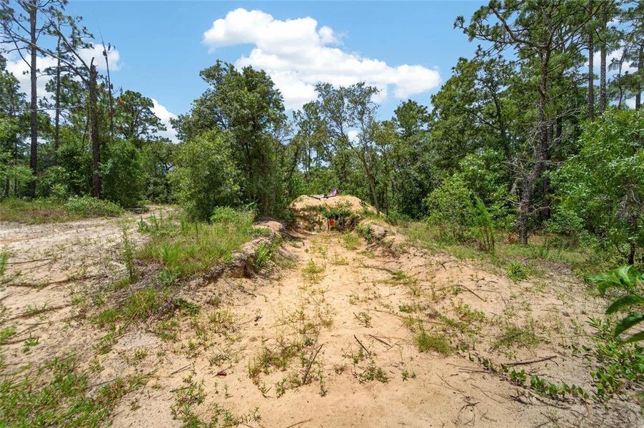 Natural landscape and outdoor views near  in Brooksville (Image 37).