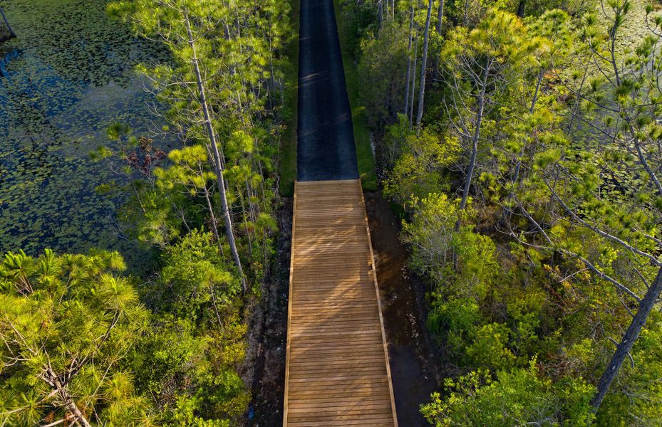Natural landscape and outdoor views near Westerly Park at Wildlight in Yulee (Image 18). Natural landscape and outdoor views near Westerly Park at Wildlight in Yulee (Image 18).