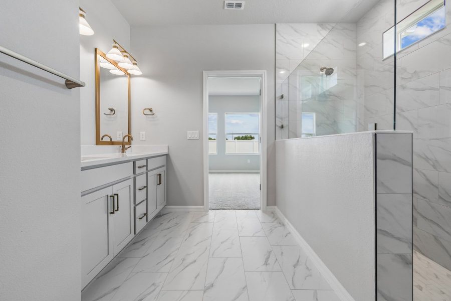 Owner's Bath