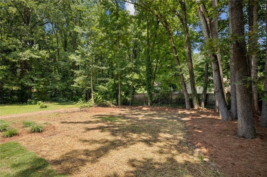 Natural landscape and outdoor views near  in Atlanta (Image 28).