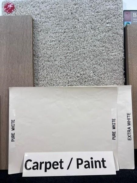 Carpet and Interior Paint Colors