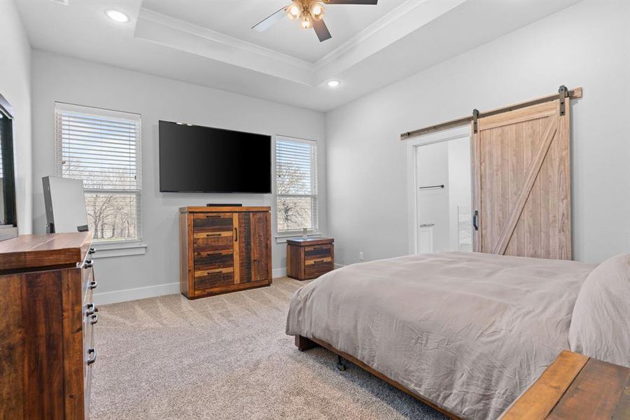 Carpeted bedroom with multiple windows, a raised ceiling, and a barn door