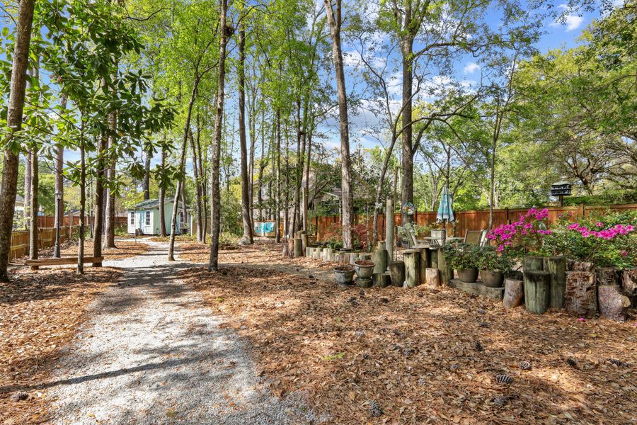 Natural landscape and outdoor views near in Johns Island (Image 26). Natural landscape and outdoor views near in Johns Island (Image 26).