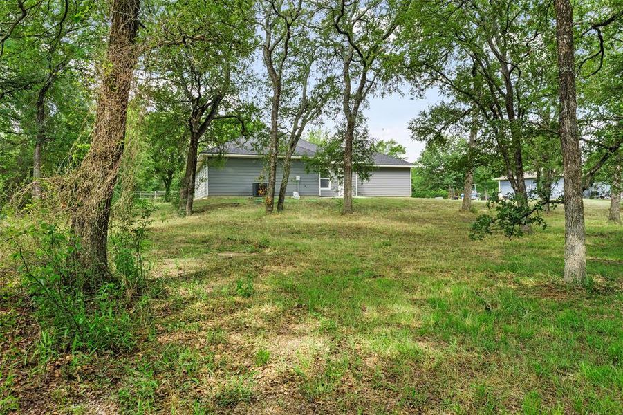 Natural landscape and outdoor views near  in Corsicana (Image 33).