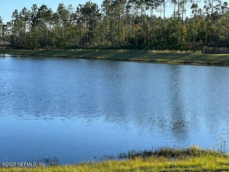 Natural landscape and outdoor views near Sawmill Branch in Palm Coast (Image 39). Natural landscape and outdoor views near Sawmill Branch in Palm Coast (Image 39).
