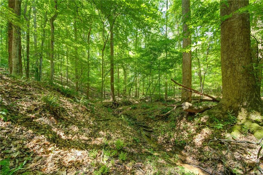 Natural landscape and outdoor views near in Alpharetta (Image 7). Natural landscape and outdoor views near in Alpharetta (Image 7).