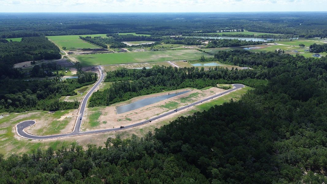 Site preparation for new homesites in Pinewood Estates, Conway (Image 27). Site preparation for new homesites in Pinewood Estates, Conway (Image 27).
