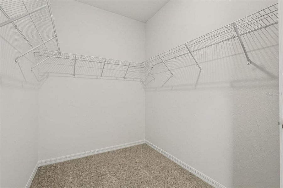 Spacious, unfurnished interior of a new home in The Meadow at Crossprairie Bungalows, St. Cloud (Image 46).