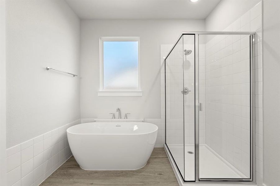 17. 2020 Jasper - Bath (2)