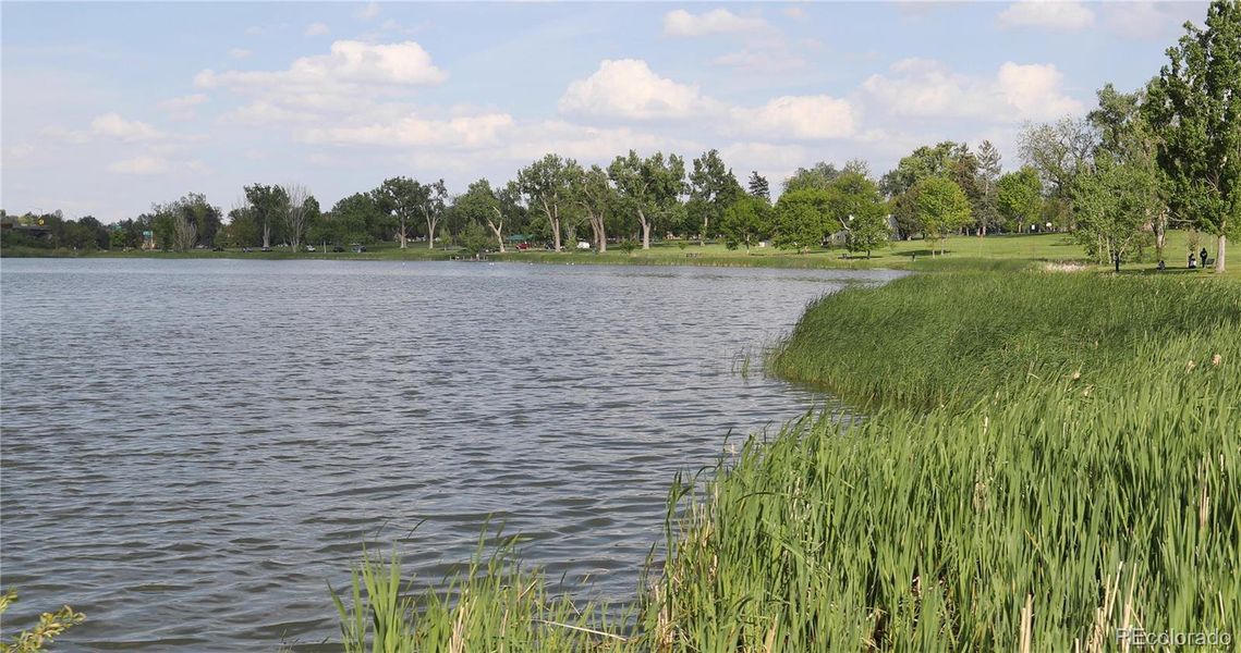 Natural landscape and outdoor views near  in Denver (Image 44).