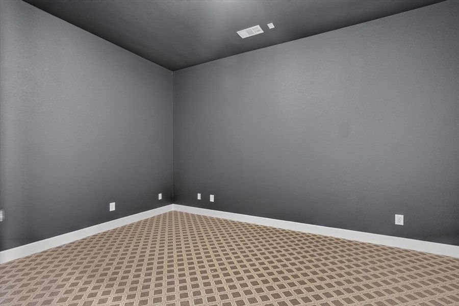 Entertainment Room