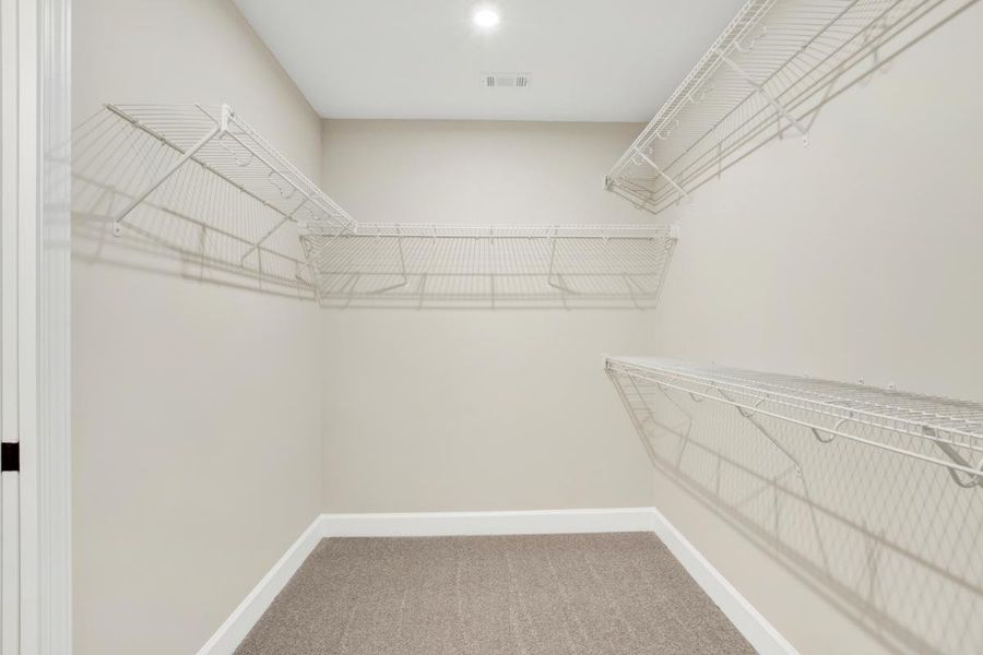 Oscar Mulberry Primary Walk-In Closet | 245 James Drive